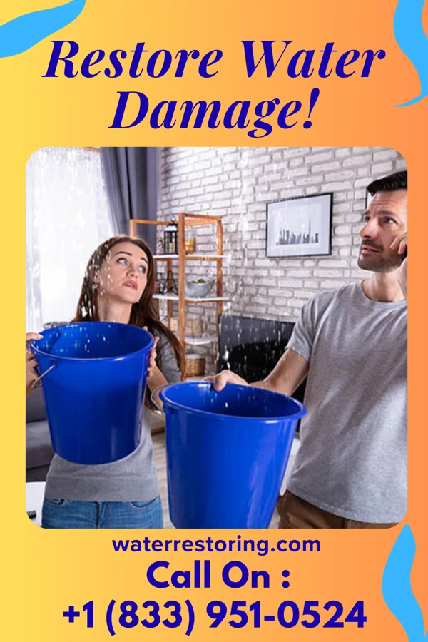 water restoration Local Restoration Solutions Wilmington Island