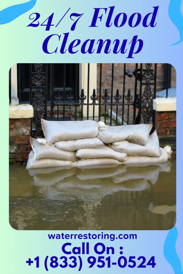 24/7 Flood Cleanup in Wilmington Island, GA
