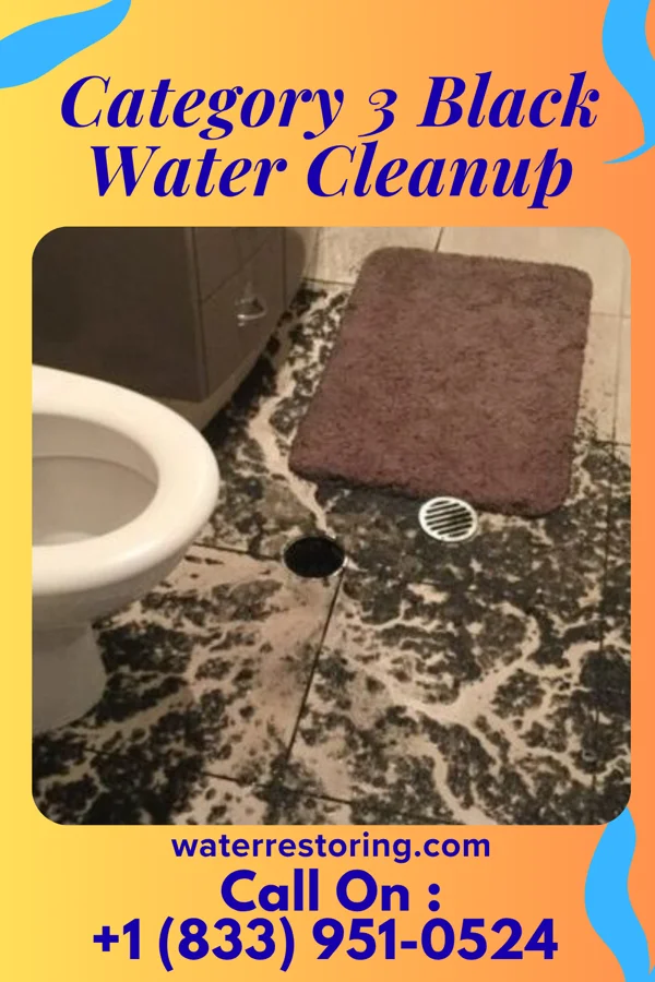 Category 3 Black Water Cleanup in Wilmington Island, GA