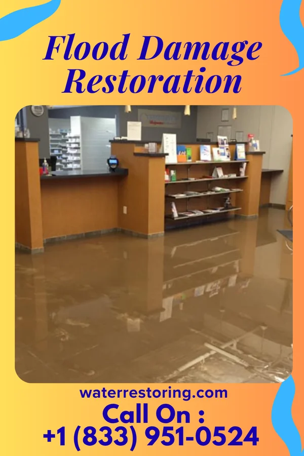 Flood Damage Restoration in Wilmington Island, GA