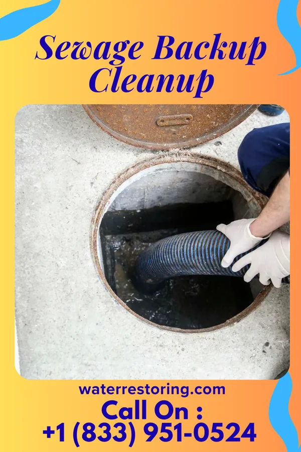 Sewage Backup Cleanup in Wilmington Island, GA