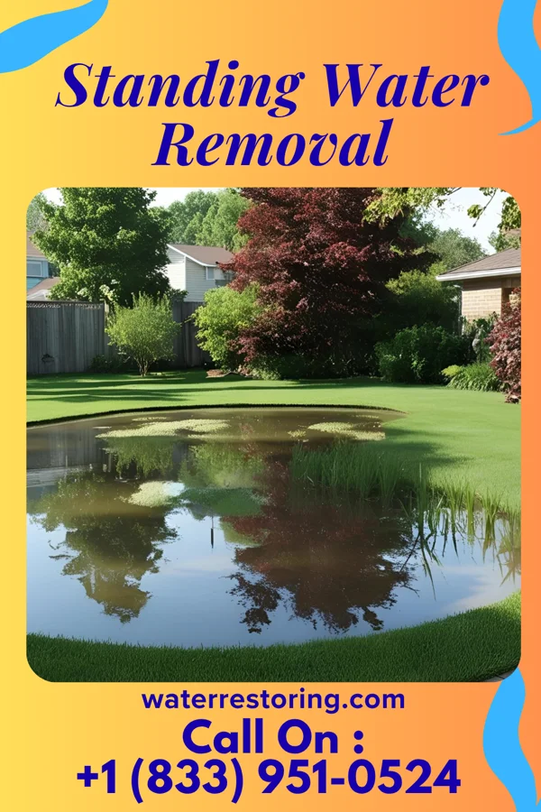 Standing Water Removal in Wilmington Island, GA